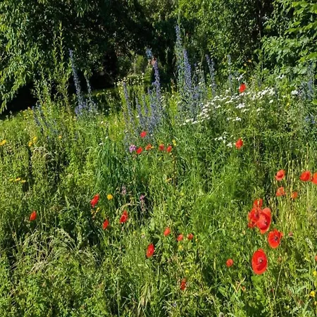 Nature Escape In Apartment Fuldabruck
