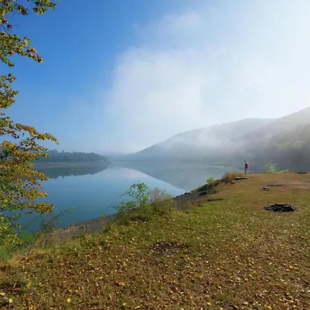 Nature Escape In Apartment